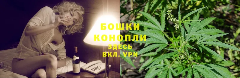 Конопля SATIVA & INDICA  Вышний Волочёк 